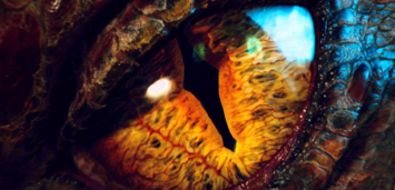 Bild zu:  Smaug