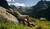 Hintergrund