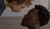 Hintergrund