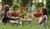 Hintergrund