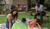 Hintergrund