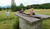 Hintergrund