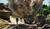 Hintergrund