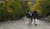 Hintergrund