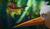 Hintergrund