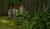 Hintergrund