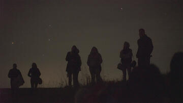 Foto im Vollbild