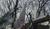 Hintergrund