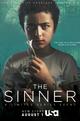 The Sinner