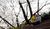 Hintergrund