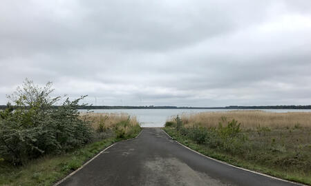 Galerie Foto