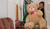 Hintergrund