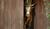 Hintergrund