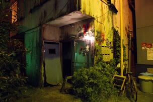 Foto im Vollbild