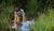 Hintergrund