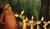 Hintergrund