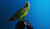 Hintergrund
