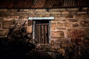 Foto im Vollbild