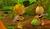 Hintergrund