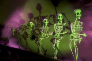 Foto im Vollbild