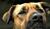 Hintergrund
