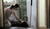 Hintergrund