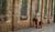 Hintergrund