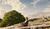 Hintergrund