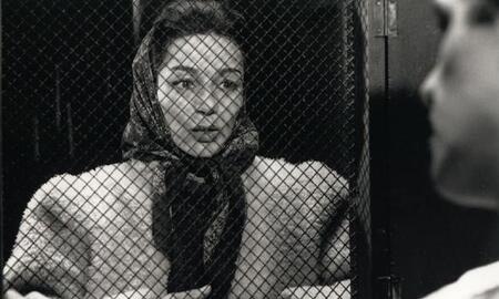 Galerie Foto
