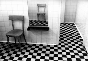 Foto im Vollbild