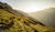 Hintergrund