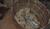 Hintergrund