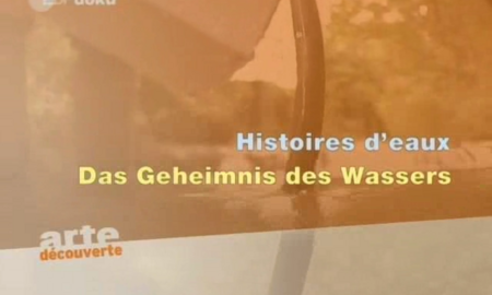 Galerie Foto