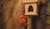 Hintergrund