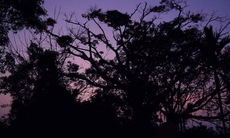 Galerie Foto