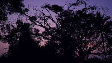 Foto im Vollbild
