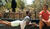 Hintergrund
