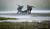 Hintergrund
