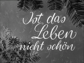 Foto im Vollbild