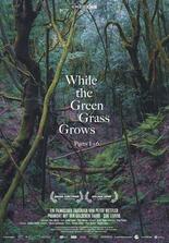 While the Green Grass Grows