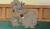 Hintergrund