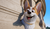 Hintergrund