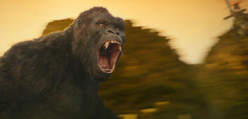 Bild zu:  Kong: Skull Island