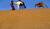 Hintergrund
