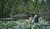 Hintergrund