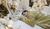 Hintergrund