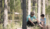 Hintergrund