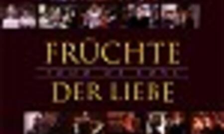 Galerie Foto