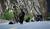 Hintergrund