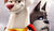 Hintergrund